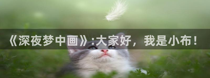 酷漫屋漫画免费漫画页面在线看漫画