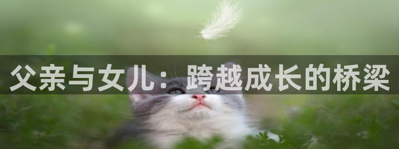 酷漫屋官方app下载